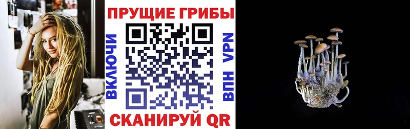 Псилоцибиновые грибы GOLDEN TEACHER  Пролетарск 